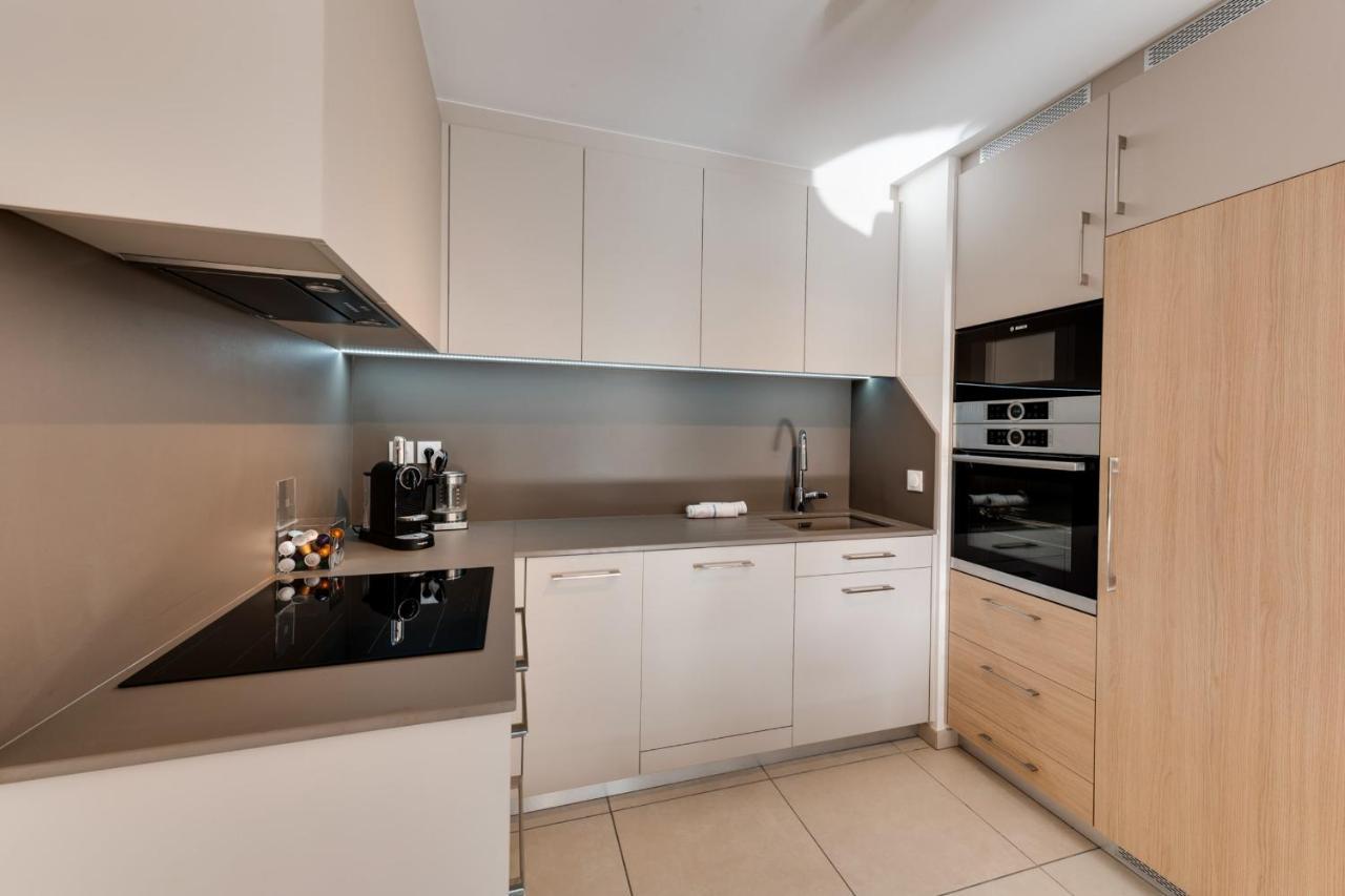 Le Reposoir - New 2 Bedroom Apartment With Terrace & Garage アヌシー エクステリア 写真